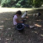 Bed & Breakfast La Closerie De L'autan Fenouillet (Haute-Garonne)