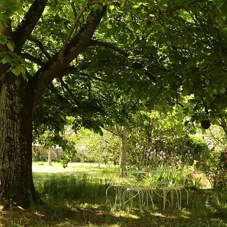 La Closerie De L'autan Fenouillet (Haute-Garonne)